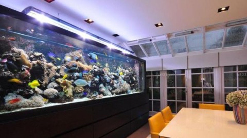 低预算别墅装修｜上海客厅鱼缸设计避坑指南（省钱养好鱼）